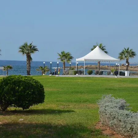 Sirena Kings * Paphos