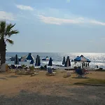 Sirena Kings